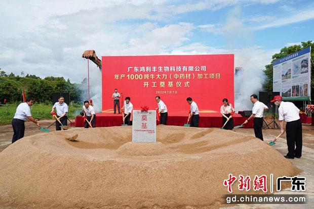 領(lǐng)導(dǎo)嘉賓為鴻利豐公司牛大力加工項(xiàng)目培土奠基。（劉爐慎 攝）