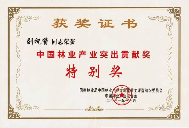 獲獎(jiǎng)證書特別獎(jiǎng)