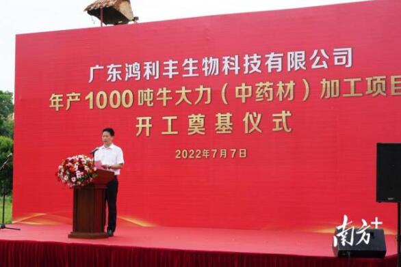 年產(chǎn)1000噸！牛大力（中藥材）加工項(xiàng)目在興寧開(kāi)工奠基